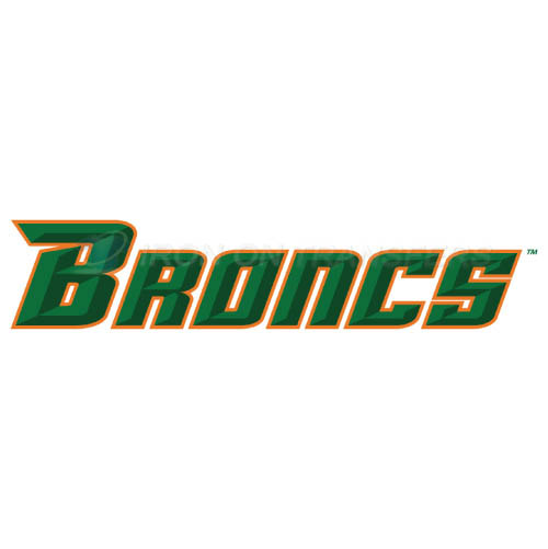 Texas Pan American Broncs Iron-on Stickers (Heat Transfers)NO.6523